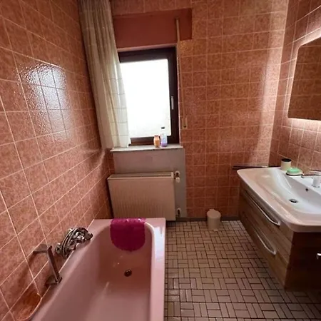1-bedroom 펜션 프란케나우